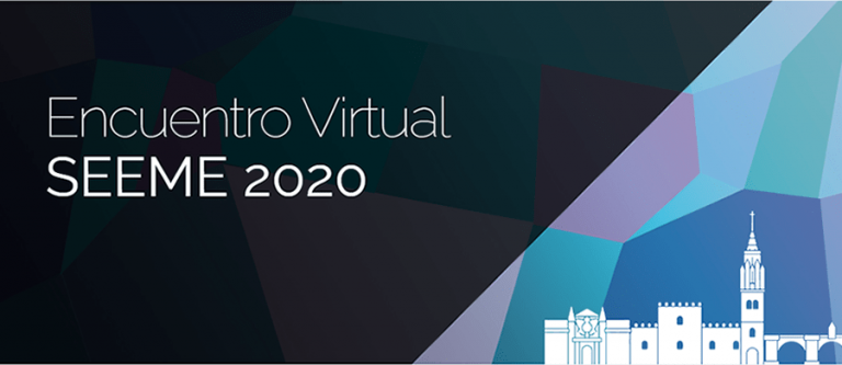 Encuentro virtual SEEME 2020